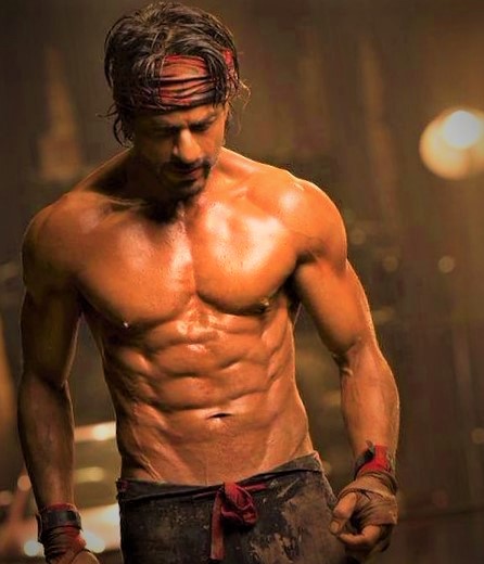 Shah Rukh Khan Bio Amazing Facts Best Films Teleclips 