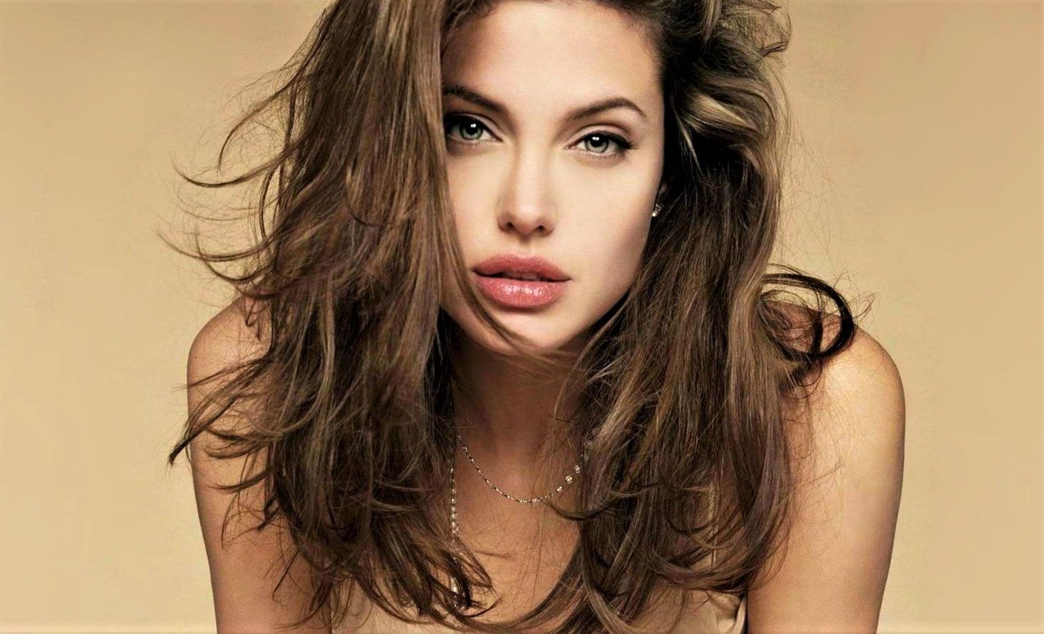 hot and sexy American actress Angelina Jolie