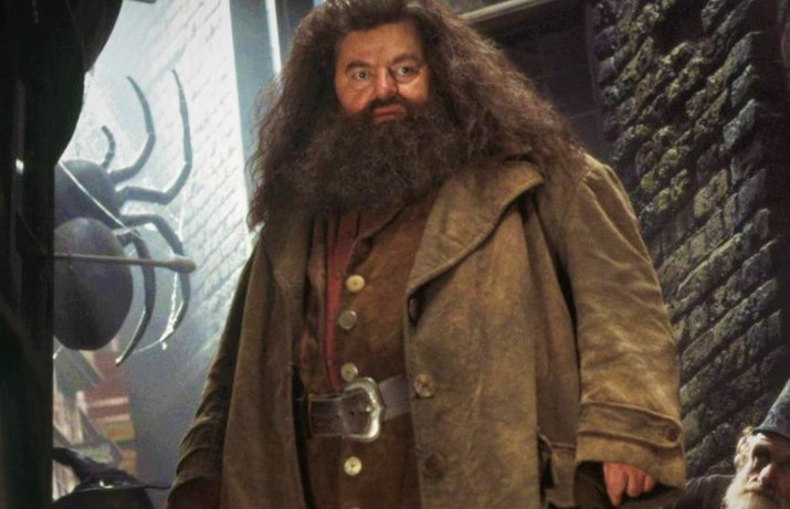 Robbie Coltrane as Hagrid 