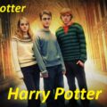 Poster of the film Harry Potter