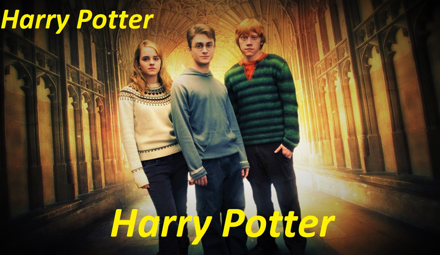 Poster of the film Harry Potter