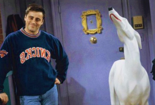 Joey's white dog in Friends (1994-2004)